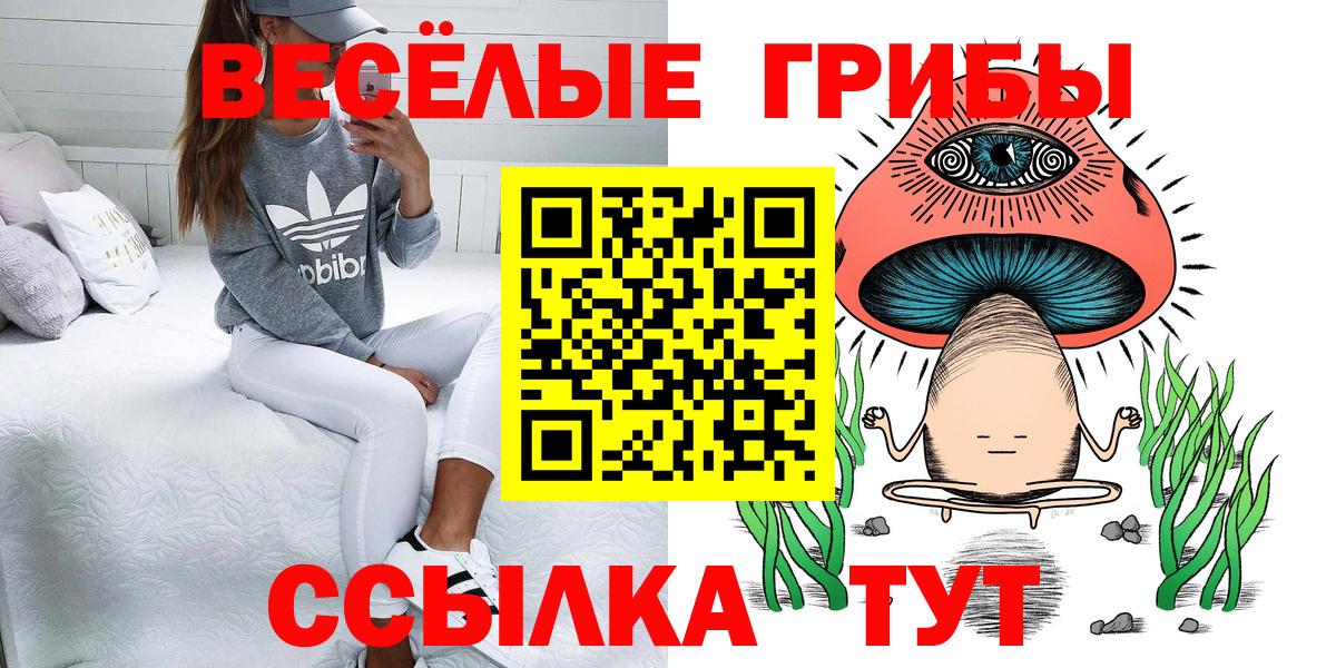 Псилоцибиновые грибы Psilocybine cubensis  Вход с VPN  Каменск-Шахтинский  Галлюциногенные грибы мухоморы 