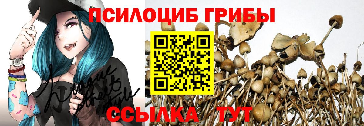 Псилоцибиновые грибы GOLDEN TEACHER Каменск-Шахтинский