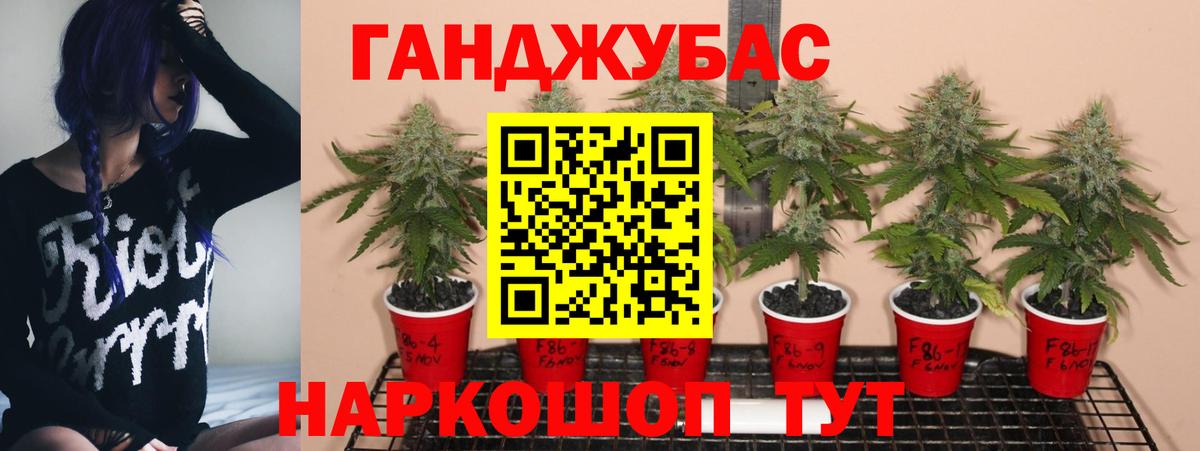 Бошки Шишки тримм  Вход с VPN  Конопля AK-47  Каменск-Шахтинский 